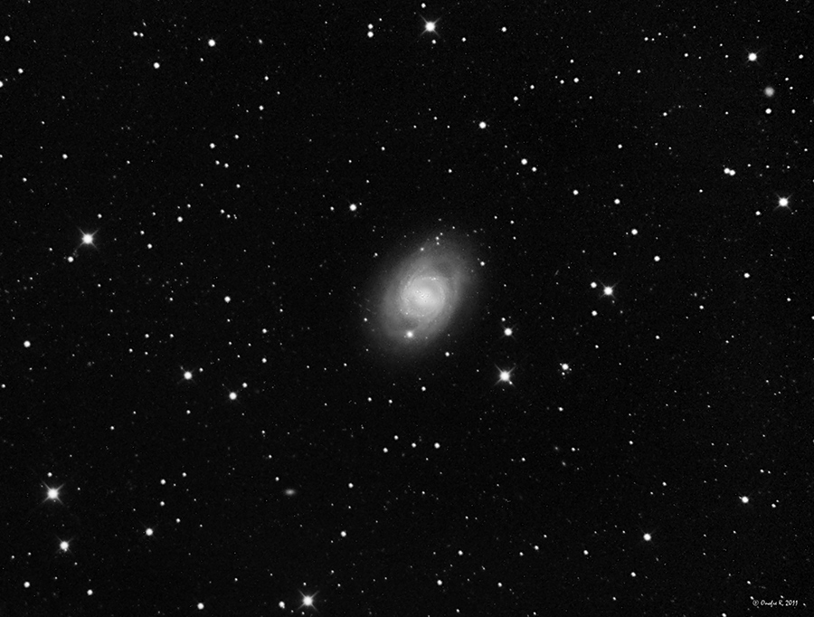 m95bnforo.jpg