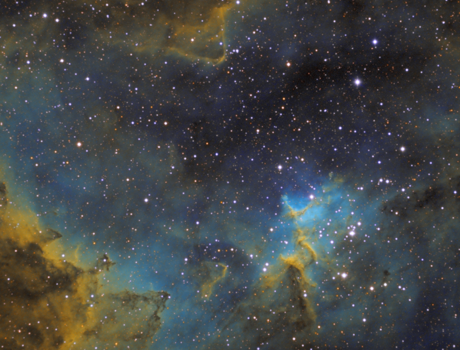 IC1805-SHO-09012014-P1.jpg