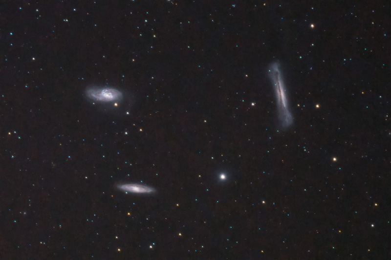 LeoTriplet-v2-800.jpg