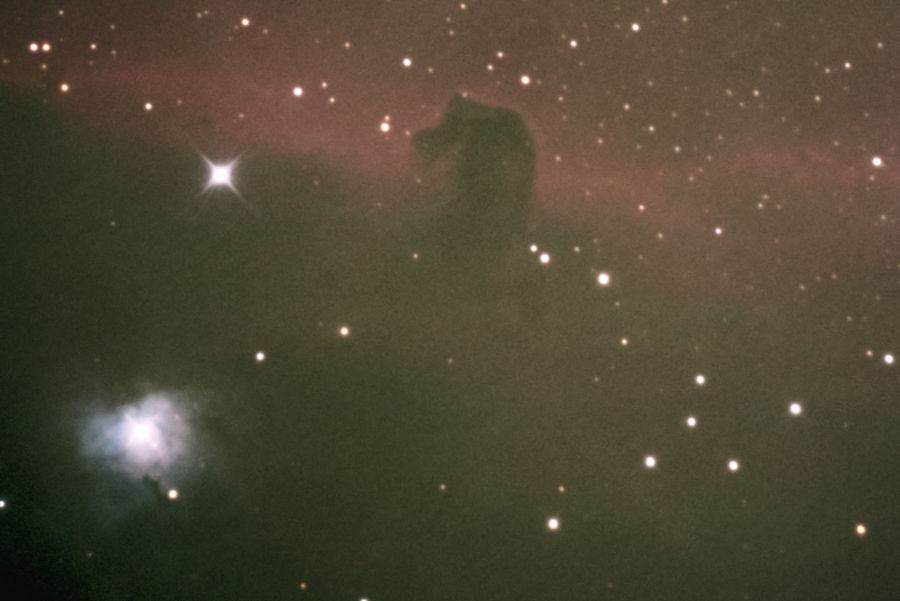 caballo recortado.jpg