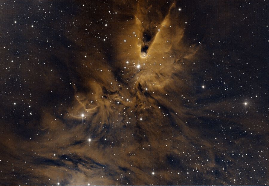 NGC2264_PI_ST_PI_1.jpg