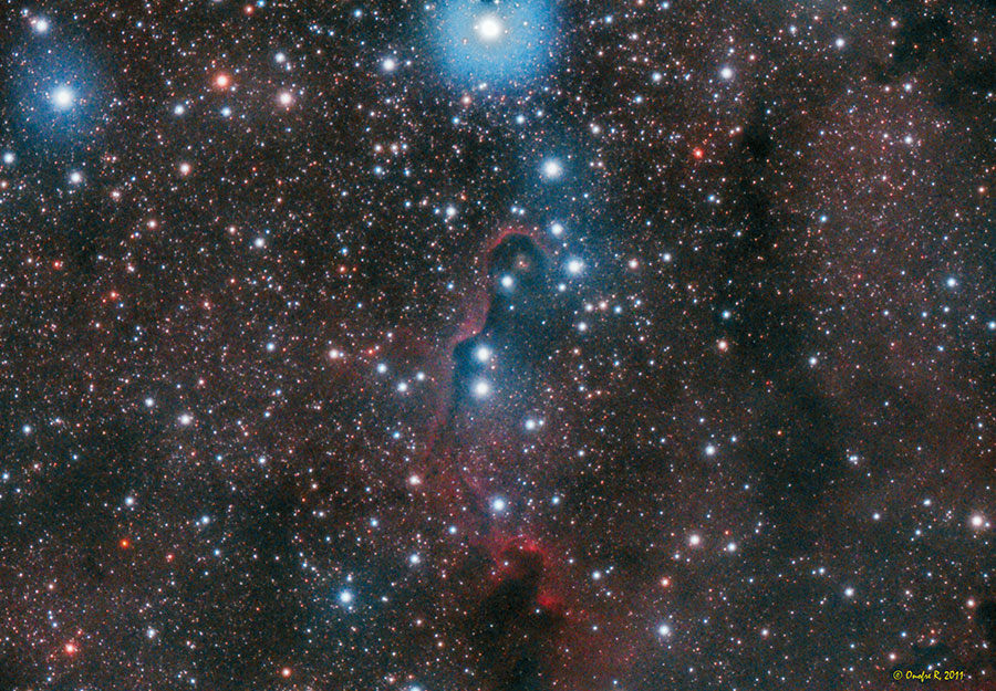 IC36--foro.jpg