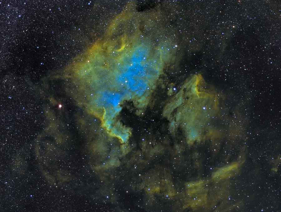 SH2-117SHO-01122011-P1.jpg