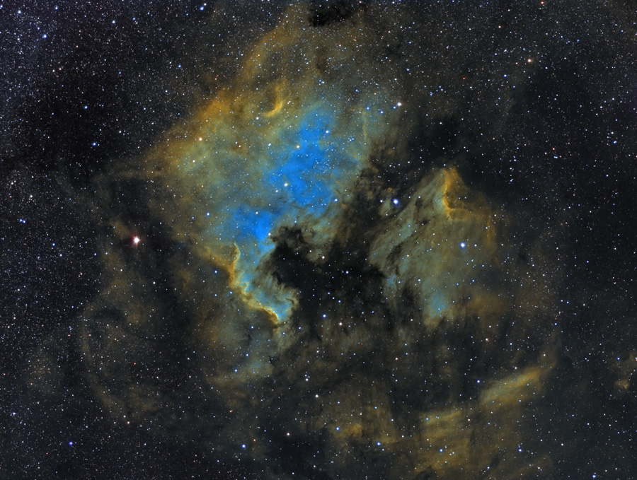 SH2-117SHO-01122011-P11.jpg