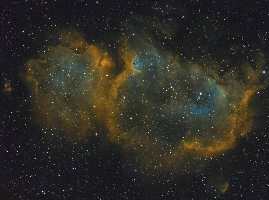 IC1848SHO-02112011-P11.jpg