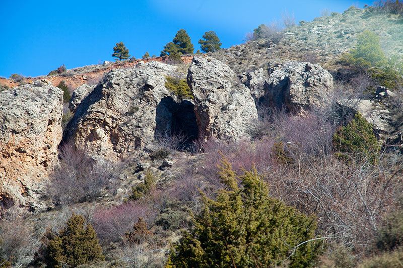 pico1.jpg
