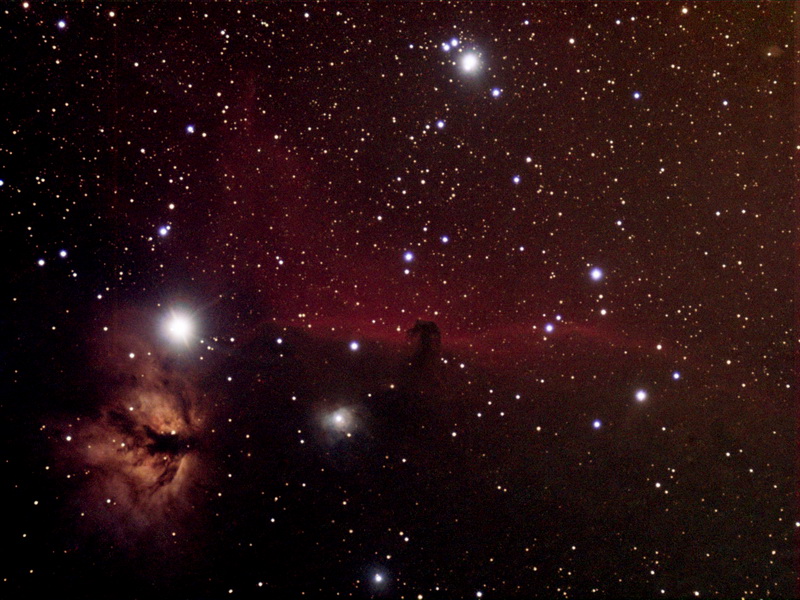 CABEZA CABALLO_PI_PS_resize.jpg