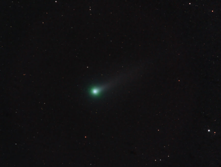 C2013R1-LOVEJOY-20112013.jpg