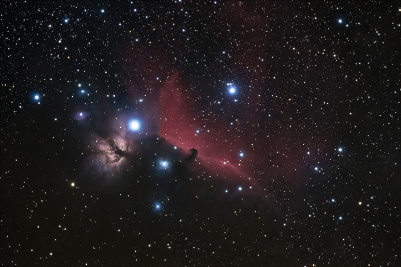 HorseHead_red1.jpg