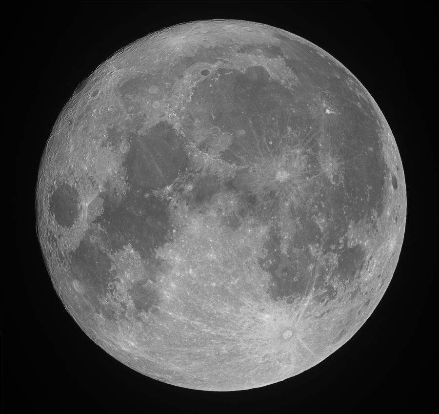 Luna_B_Stitched_hibrida gon y alvaro_1.jpg