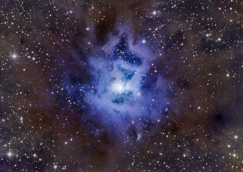 NGC7023_DSS-final800.jpg