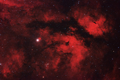 IC1318-HARGB12092010-P1.jpg