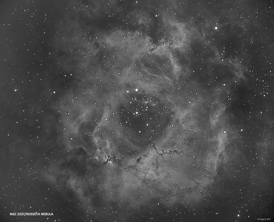 rosetanebulaforo.jpg