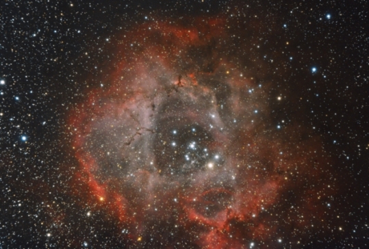 Roseta-Jorge-BR 4.jpg